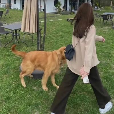无需敲门