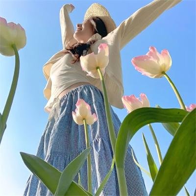 半妖的夜叉姬第一季